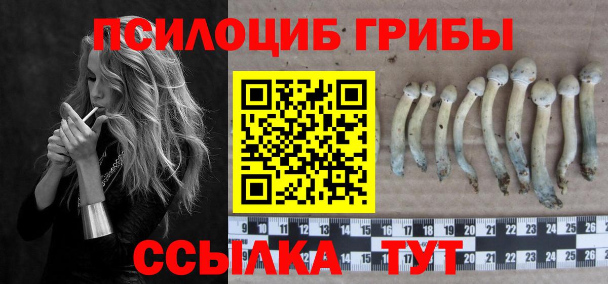 Лыткарино  Псилоцибиновые грибы Psilocybe  Вход с VPN 